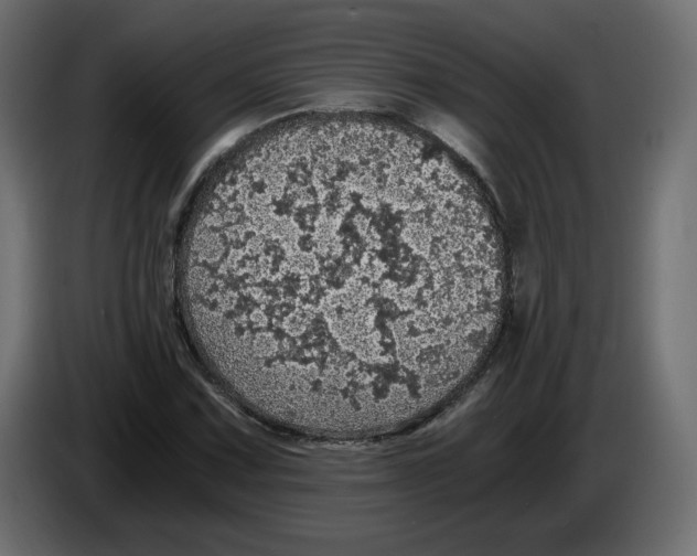 X0000084531067200703231647