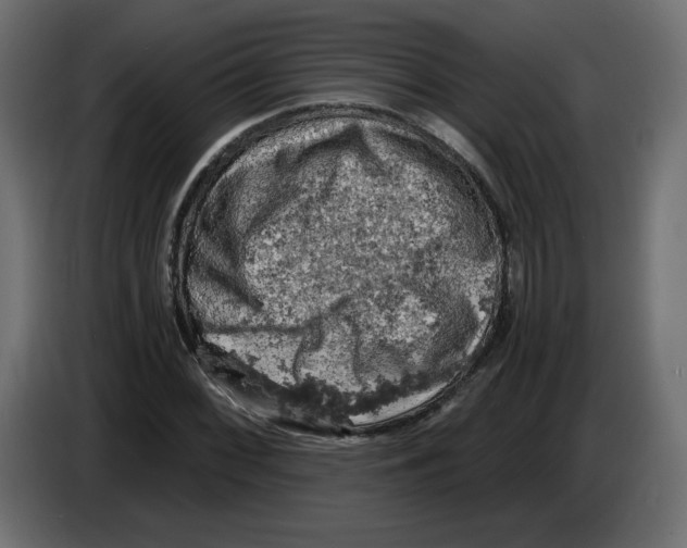 X0000084531068200703231647