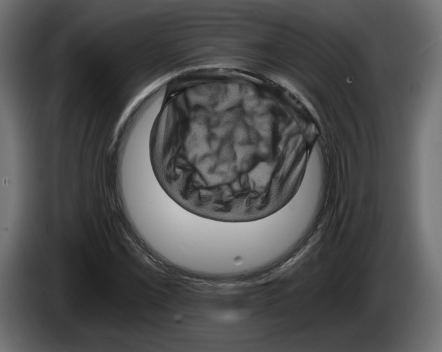 X0000084531069200703231647