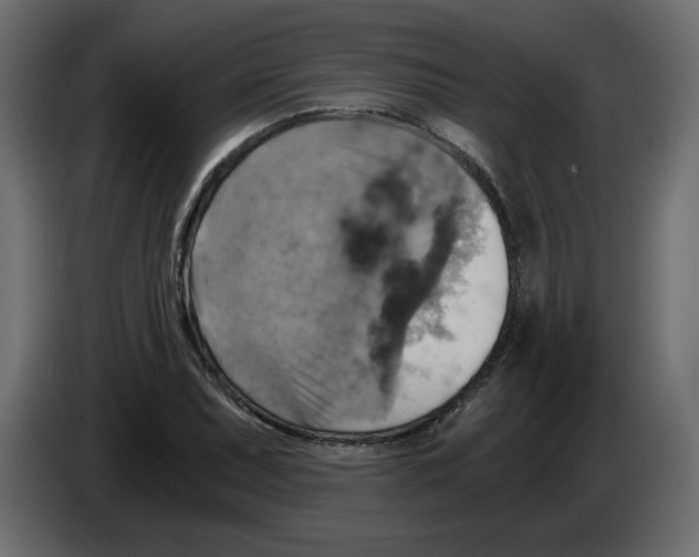 X0000084531071200703231647