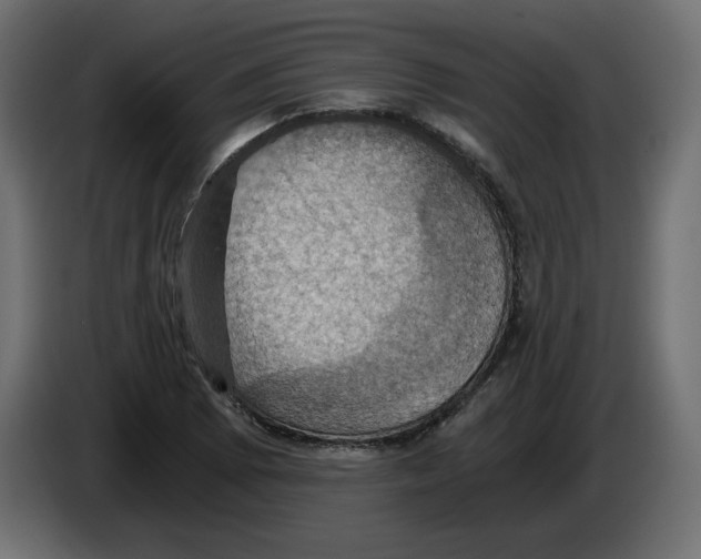 X0000084531073200703231647