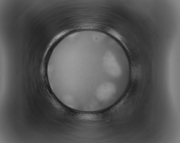 X0000084531074200703231647