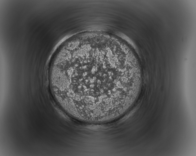 X0000084531075200703231647