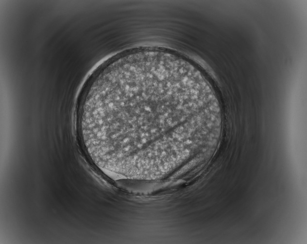 X0000084531076200703231647