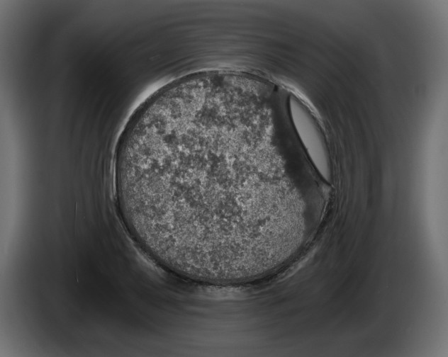 X0000084531079200703231647