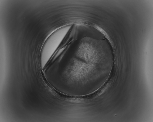 X0000084531081200703231647
