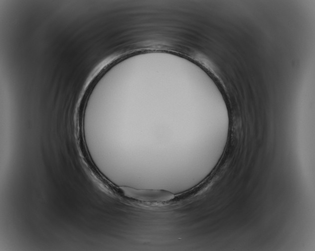 X0000084531082200703231647
