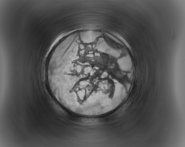 X0000084531083200703231647