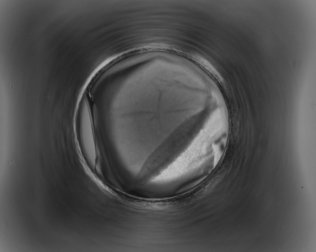 X0000084531084200703231647