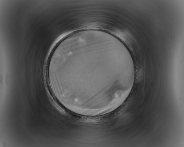 X0000084531086200703231647