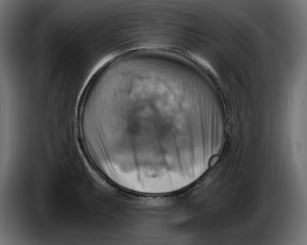 X0000084531087200703231647