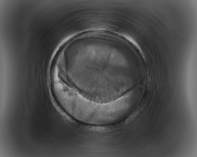 X0000084531088200703231647