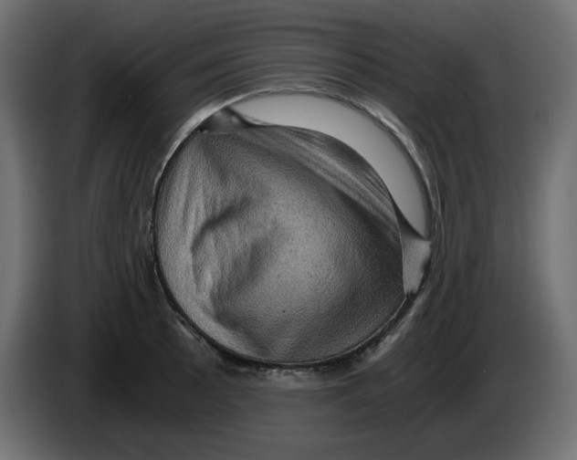 X0000084531089200703231647