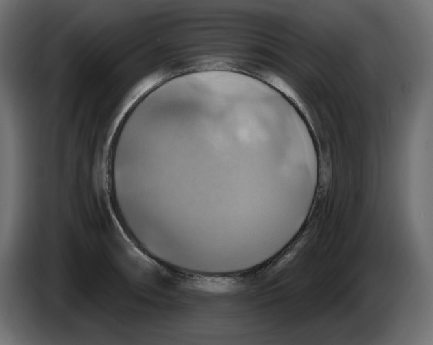 X0000084531090200703231647