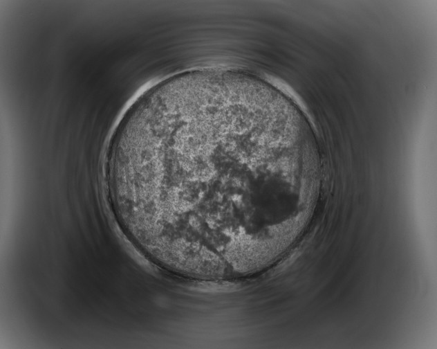 X0000084531091200703231647