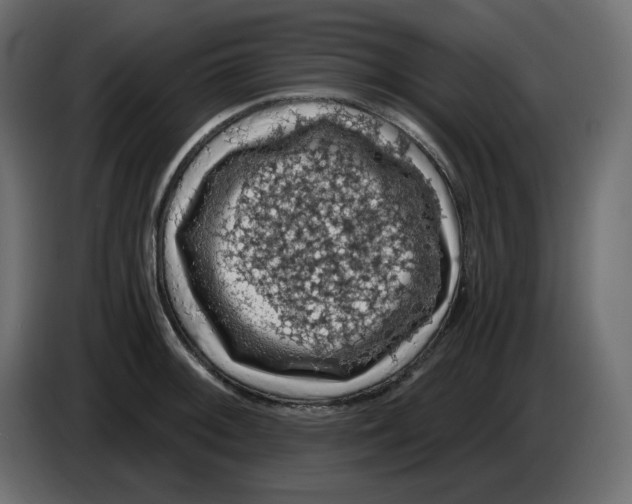 X0000084531092200703231647