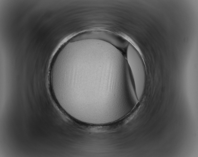 X0000084531093200703231647