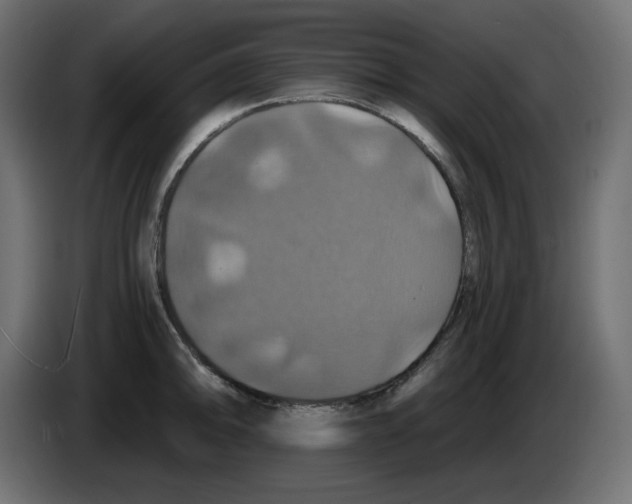 X0000084531094200703231647