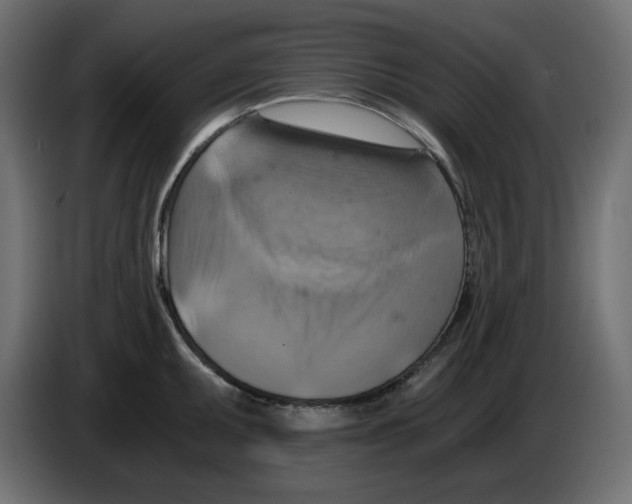 X0000084531095200703231647