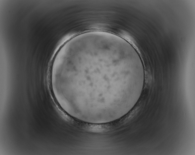 X0000084531098200703231647