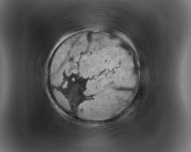 X0000084531099200703231647