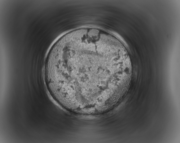 X0000084531100200703231647