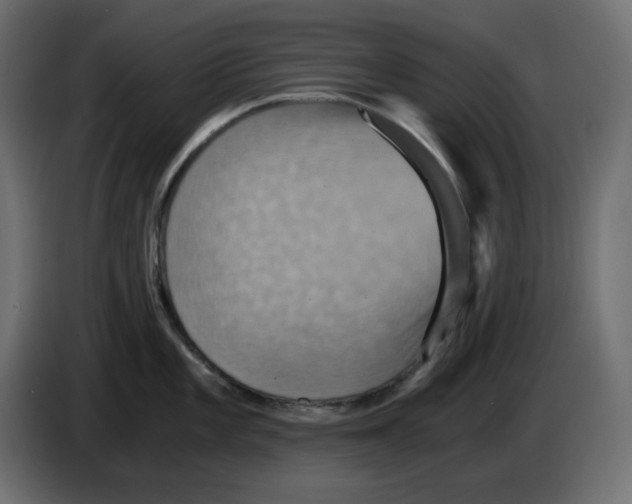 X0000084531101200703231647