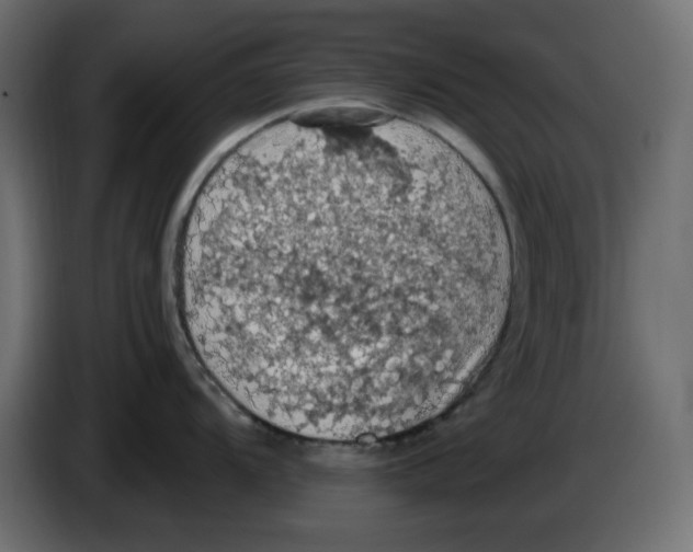 X0000084531104200703231647