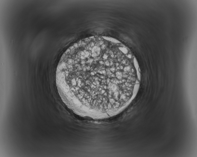 X0000084531105200703231646