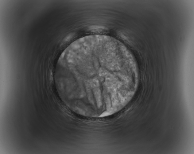 X0000084531106200703231646