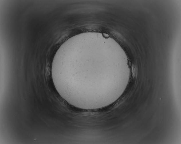 X0000084531107200703231646
