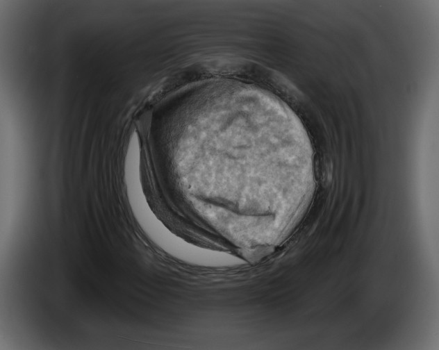 X0000084531108200703231646
