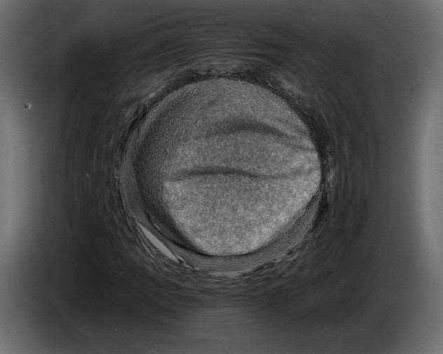 X0000084531109200703231646