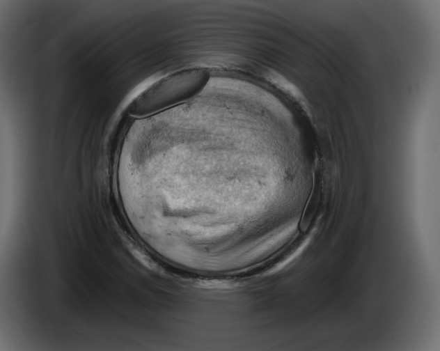 X0000084531114200703231646