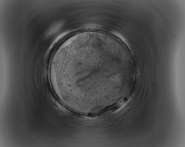 X0000084531115200703231646