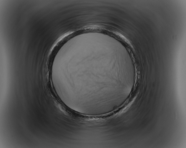 X0000084531117200703231646
