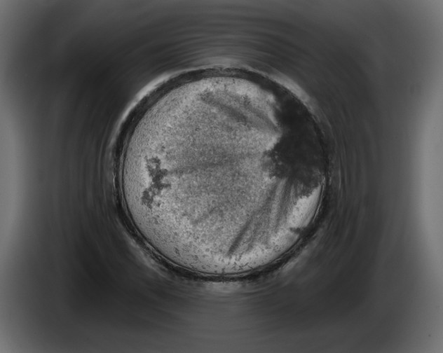 X0000084531118200703231646