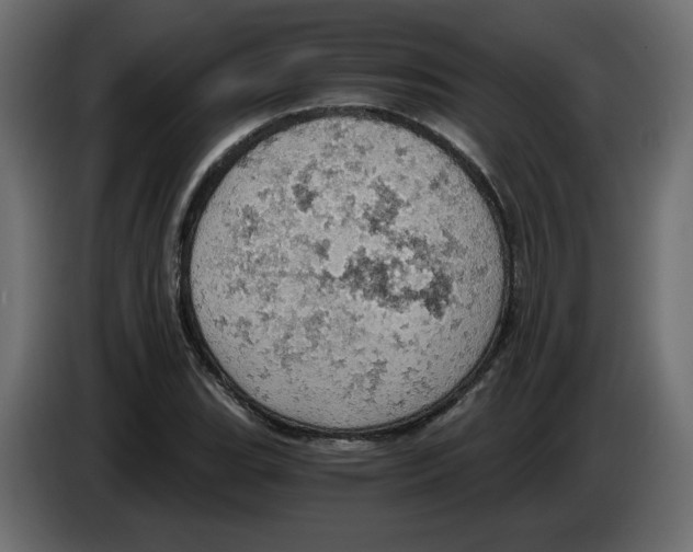 X0000084531119200703231646