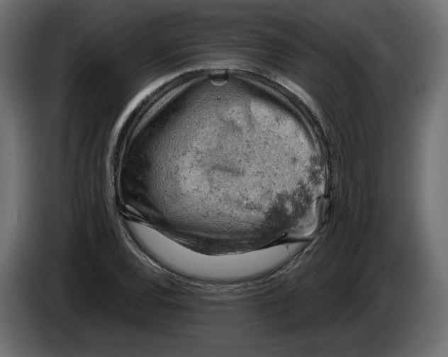 X0000084531120200703231646