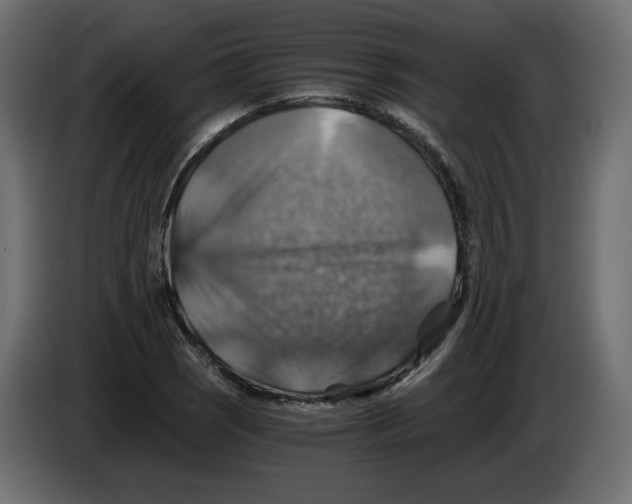 X0000084531121200703231646