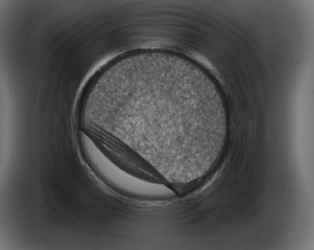 X0000084531122200703231646