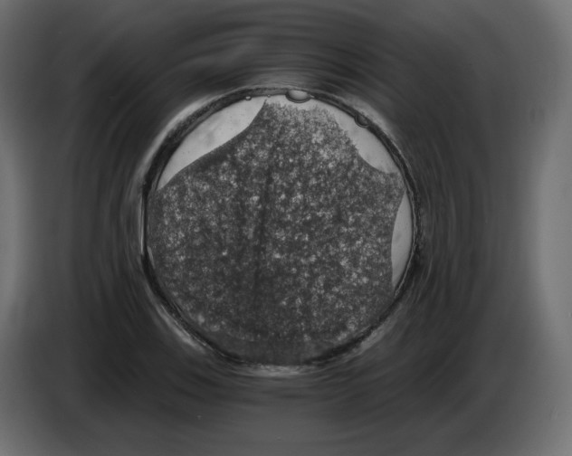 X0000084531123200703231646