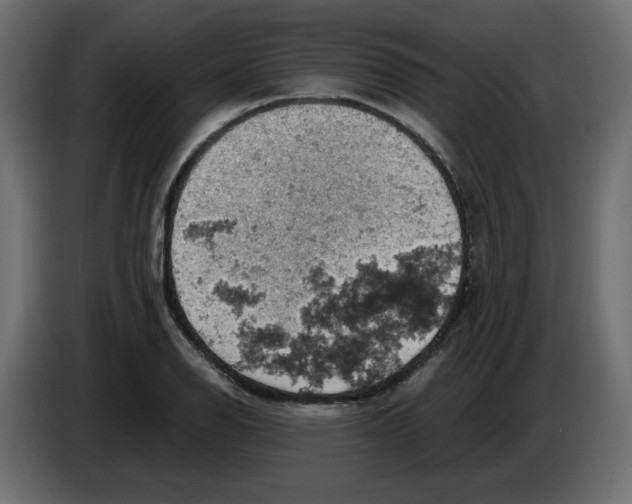 X0000084531126200703231646