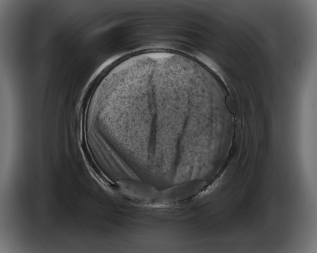 X0000084531127200703231646