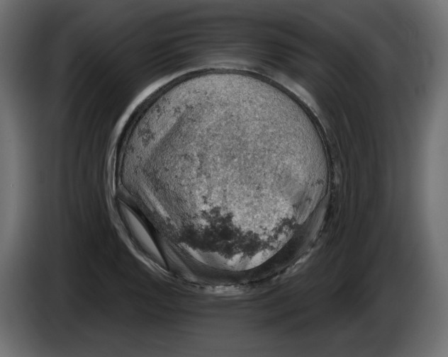 X0000084531128200703231646