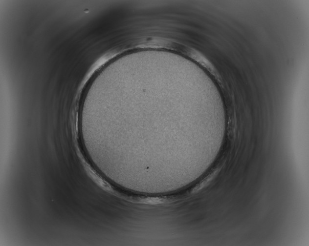 X0000084531130200703231646
