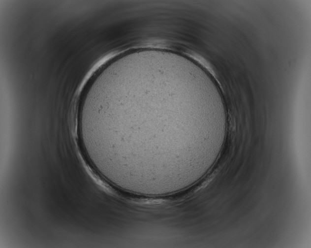 X0000084531131200703231646