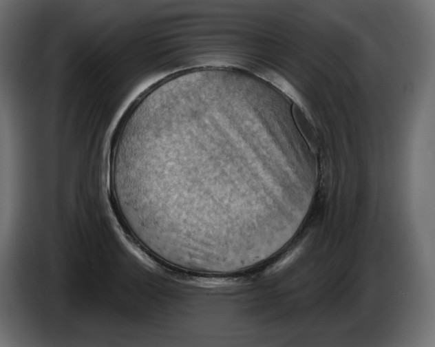 X0000084531132200703231647