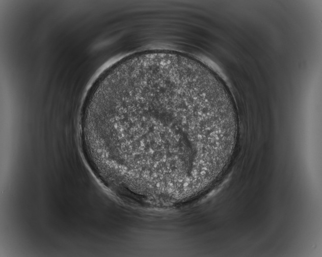 X0000084531133200703231647