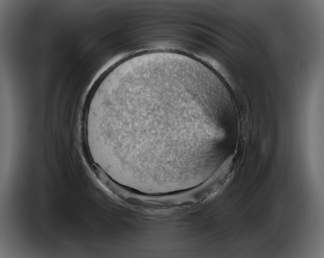 X0000084531134200703231647